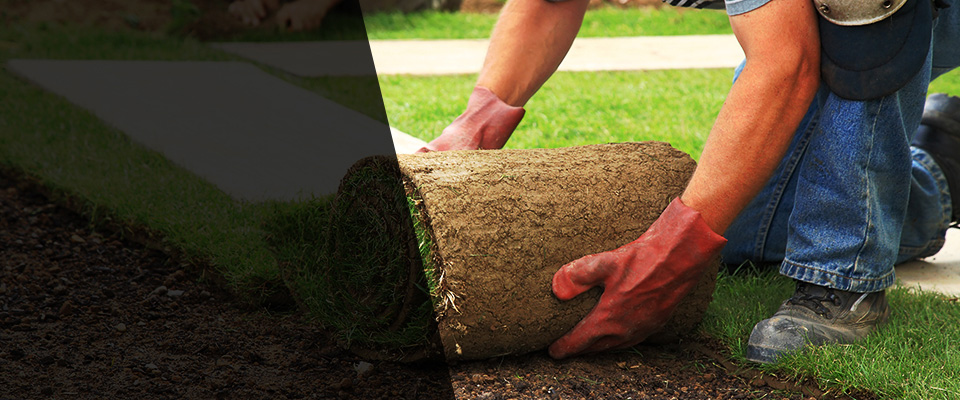 Centerport Landscapers